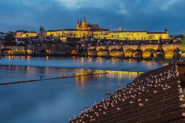 Prague Castle and the Charles Bridge — Stock Photo, Image