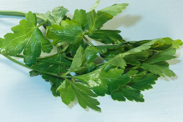 Branche Persil Vert Frais Herbe Aromatique — Photo