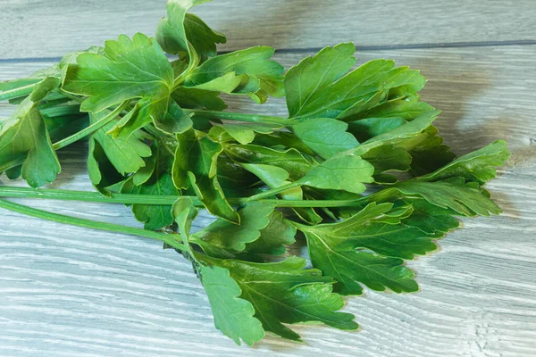 Branche Persil Vert Frais Herbe Aromatique — Photo