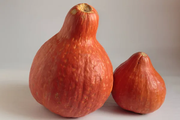 Zucca Matura Pronta Cottura Cibo Vegano — Foto Stock