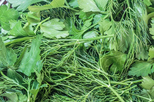 Taze bitki karışımı. Aromatik baharatlar her yemek için.