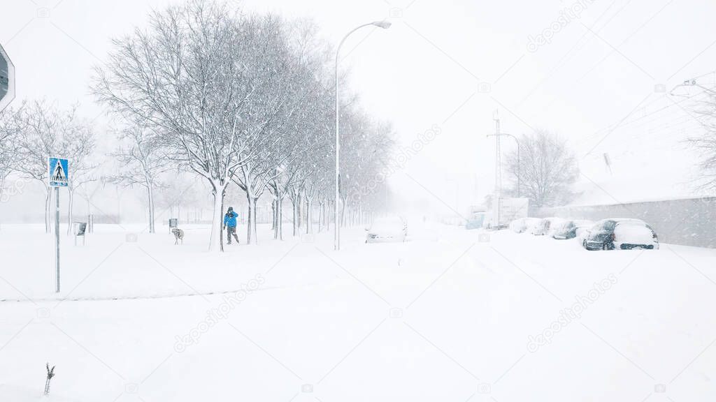Snowy scene in a park in Villa de Vallecas during storm Filomena. Snow covered cars. A person walks a dog in the middle of the blizzard