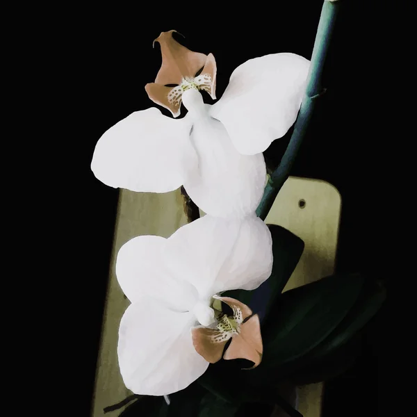 Orchid realistische vectorillustratie — Stockvector