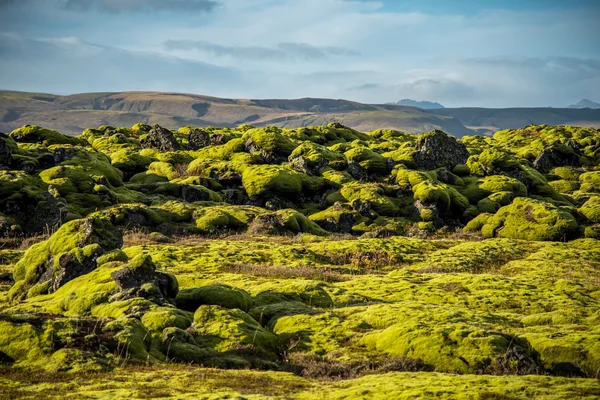 Moosbedeckung auf der Vulkanlandschaft von Island — Stockfoto