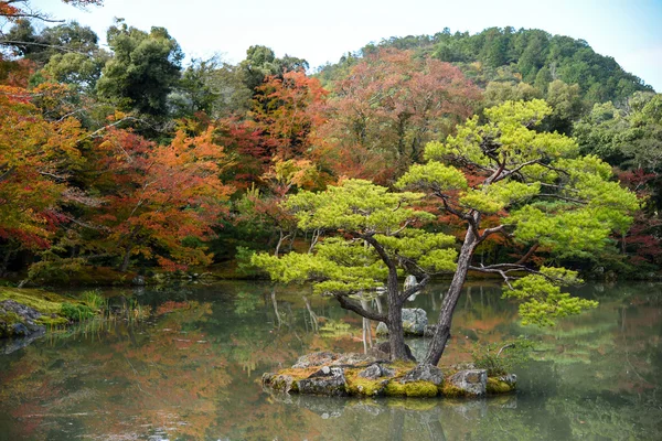 Gyönyörű japán kert ősszel, Japán — Stock Fotó