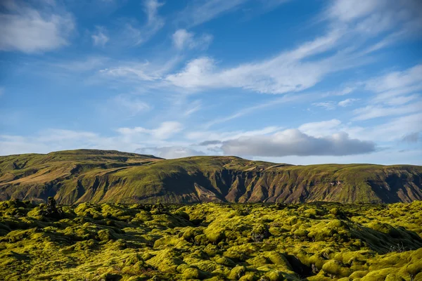 Cubierta de musgo en el paisaje volcánico de Islandia — Foto de Stock