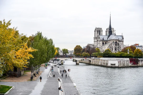 Notre Dame de Paris katedral, Frankrike — Stockfoto