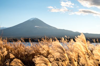 Fuji Dağı Gölü Kawaguchi, Japonya