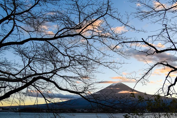 Mount Fuji vid Kawaguchisjön, Japan — Stockfoto