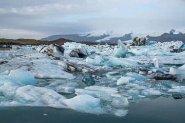 jokulsarlon Buzulu lagün İzlanda