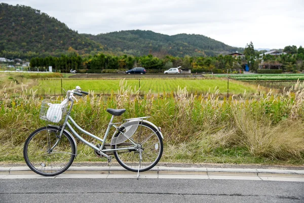 Retro bicycle near spring field