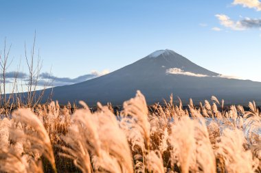 Fuji Dağı Gölü Kawaguchi, Japonya