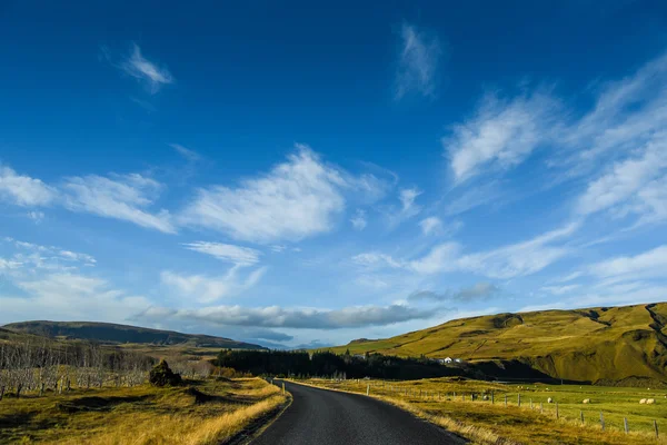 Camino vacío en verano de Islandia —  Fotos de Stock