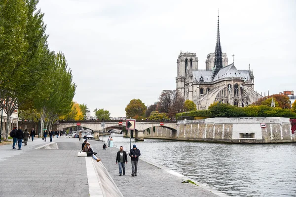 Notre Dame de Paris katedral, Frankrike — Stockfoto
