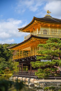 Kyoto, Japonya 'daki Kinkakuji Tapınağı 