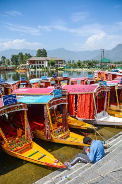 srinagar, Keşmir, Hindistan gölde dal