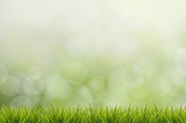 Grass and green blurred background