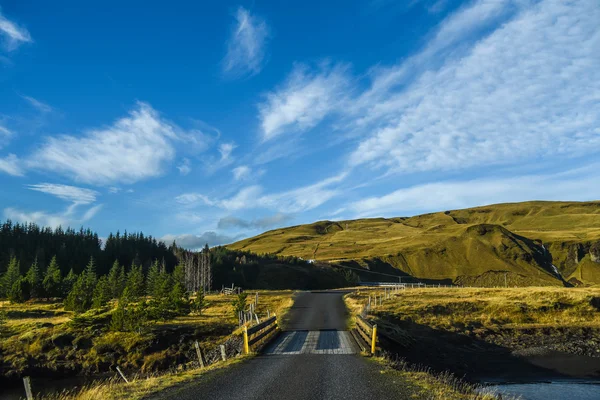 Camino vacío en verano de Islandia —  Fotos de Stock