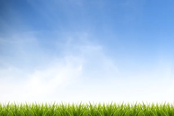 Grass grass under blue sky and clouds