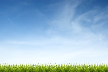 Mavi gökyüzü ve bulutlar altında çim çimen