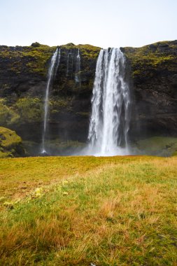 seljalandsfoss, İzlanda'daki ünlü Şelalesi
