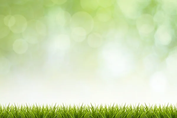 Gras und grün verschwommener Hintergrund — Stockfoto