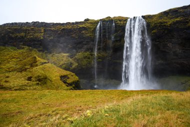 seljalandsfoss, İzlanda'daki ünlü Şelalesi