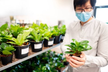 Ev karantinası için doğa süsü alıyorum. Korumalı yüz maskesi takan Asyalı adam fabrikadaki yeni hava temizleme tesisini seçiyor..