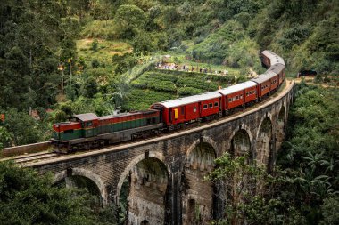 Nine Arches Köprüsü 'ndeki klasik kırmızı tren Ella' daki Seylan çay çiftliğinin üzerinden geçiyor. Sri Lanka 'nın ünlü turistik merkezi.