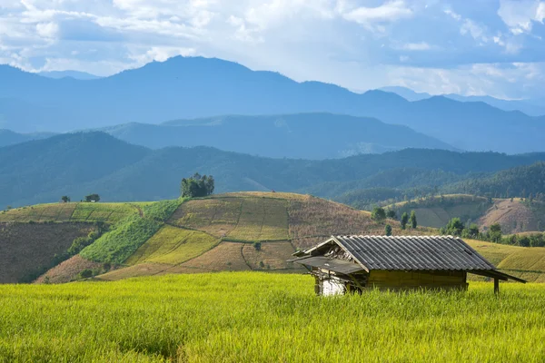 在种族稻田小屋 — 图库照片