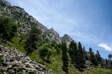 Yüksek dağ, orman ve gökyüzü