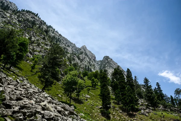 Yüksek dağ, orman ve gökyüzü — Stok fotoğraf