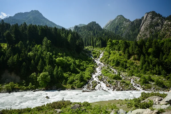 流和森林景观 — 图库照片