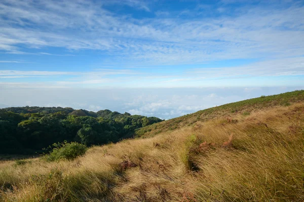 Feld auf Berglandschaft — Stockfoto