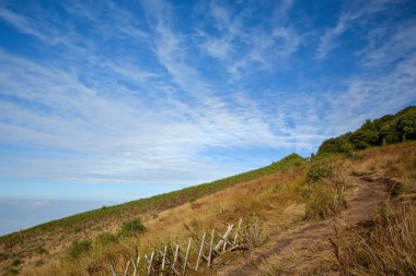 Dağ mavi gökyüzü ile sahada