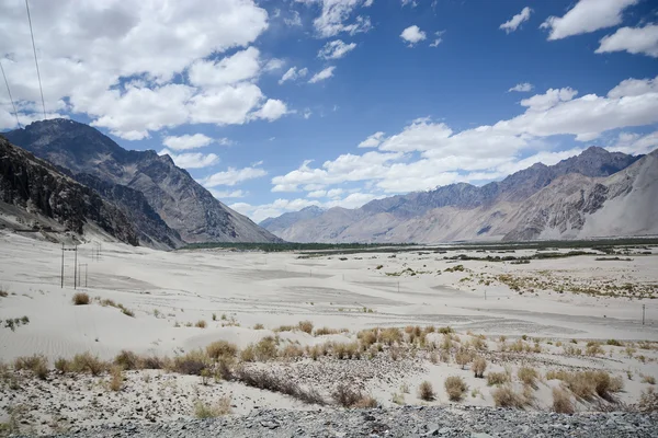 Údolí Nubra poušť v Ladaku, Indie — Stock fotografie