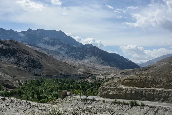 Живописный вид Гималаев летом — стоковое фото
