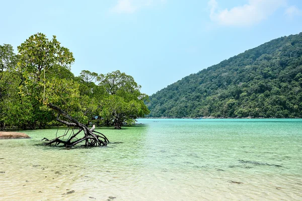 The bay of Surin island in Andaman — Stock Photo, Image