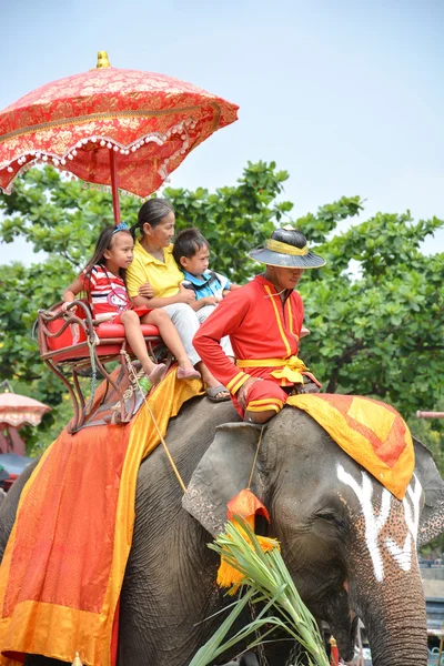 Tourists on elephant in Ayutthaya — Stock Photo, Image