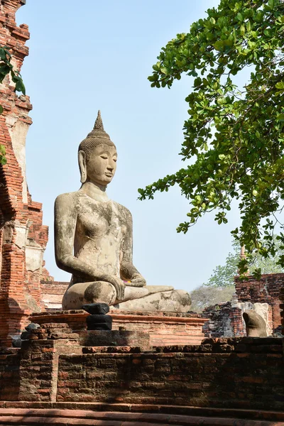 Mahathat Tapınağı, Ayutthaya Buda heykeli — Stok fotoğraf