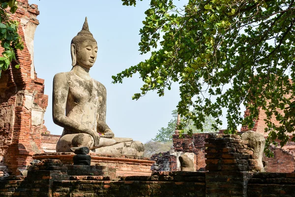 Buddha-Statue im Mahathat-Tempel, Ayutthaya — Stockfoto