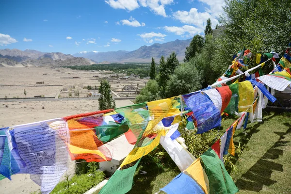 Prayer flags and ladakh valley in background — Stock Photo, Image