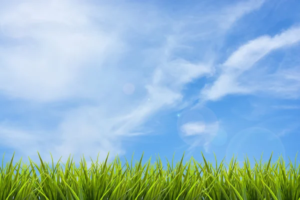 Трава под голубым небом и облаками — стоковое фото