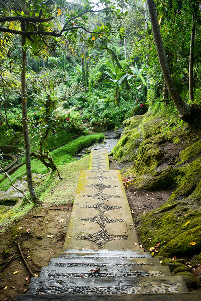 Красивая дорожка в балийском саду, Бали, Индонезия
