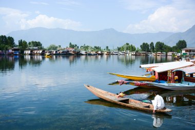 srinagar, Keşmir, Hindistan gölde dal