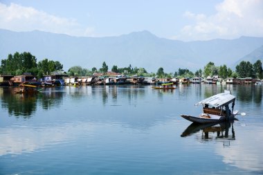 srinagar, Keşmir, Hindistan gölde dal