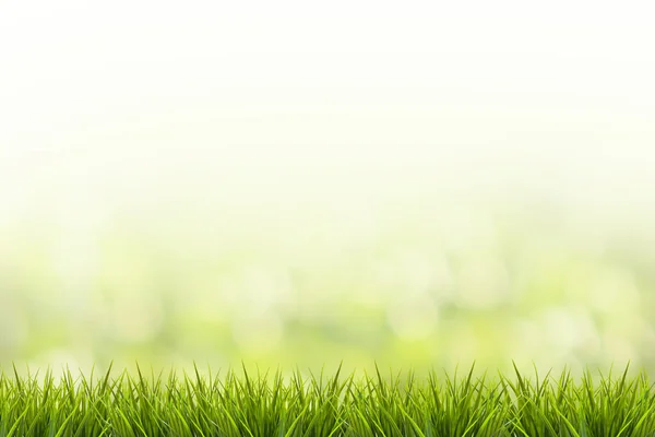 Trawa i zielony natura niewyraźne tło — Zdjęcie stockowe