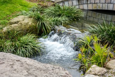 Çin bahçesinde küçük şelale