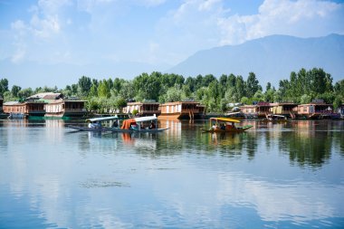 srinagar, Keşmir, Hindistan gölde dal