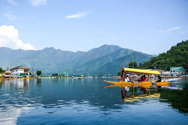 srinagar, Keşmir, Hindistan gölde dal